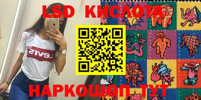 гашик Камышлов